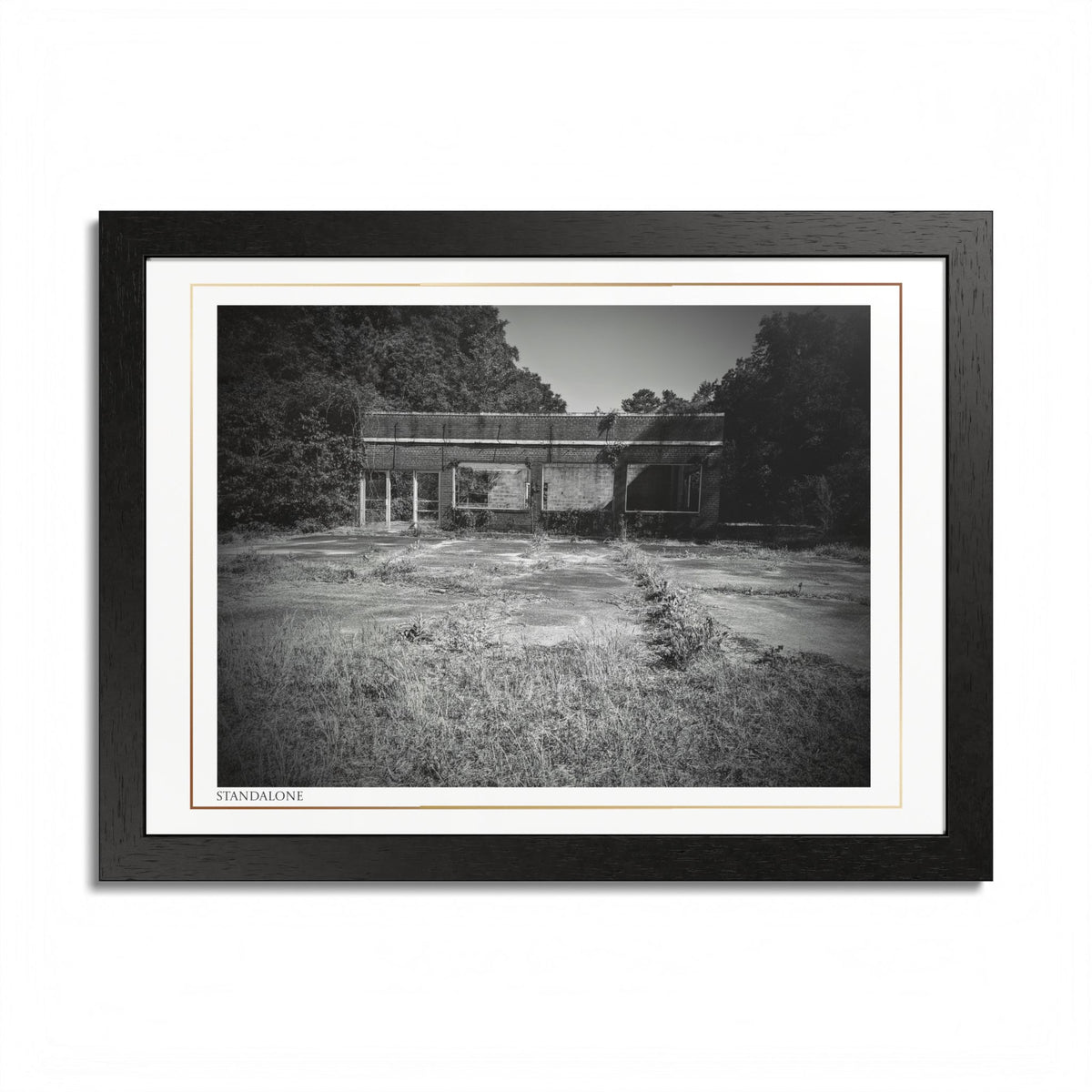 Acqua Carta Original 'Standalone' Framed Art, 'Bando' Art, Home Art
