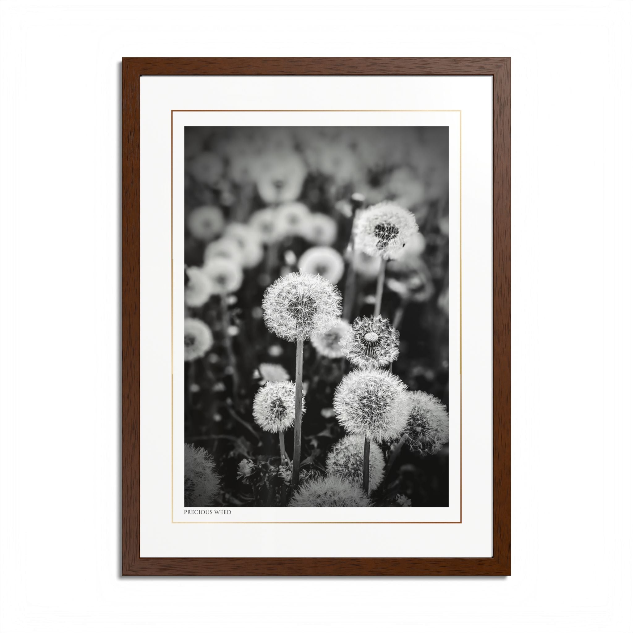 Acqua Carta Original 'Precious Weed' Framed Art, Flower Decor for Nature Lovers, Home Art