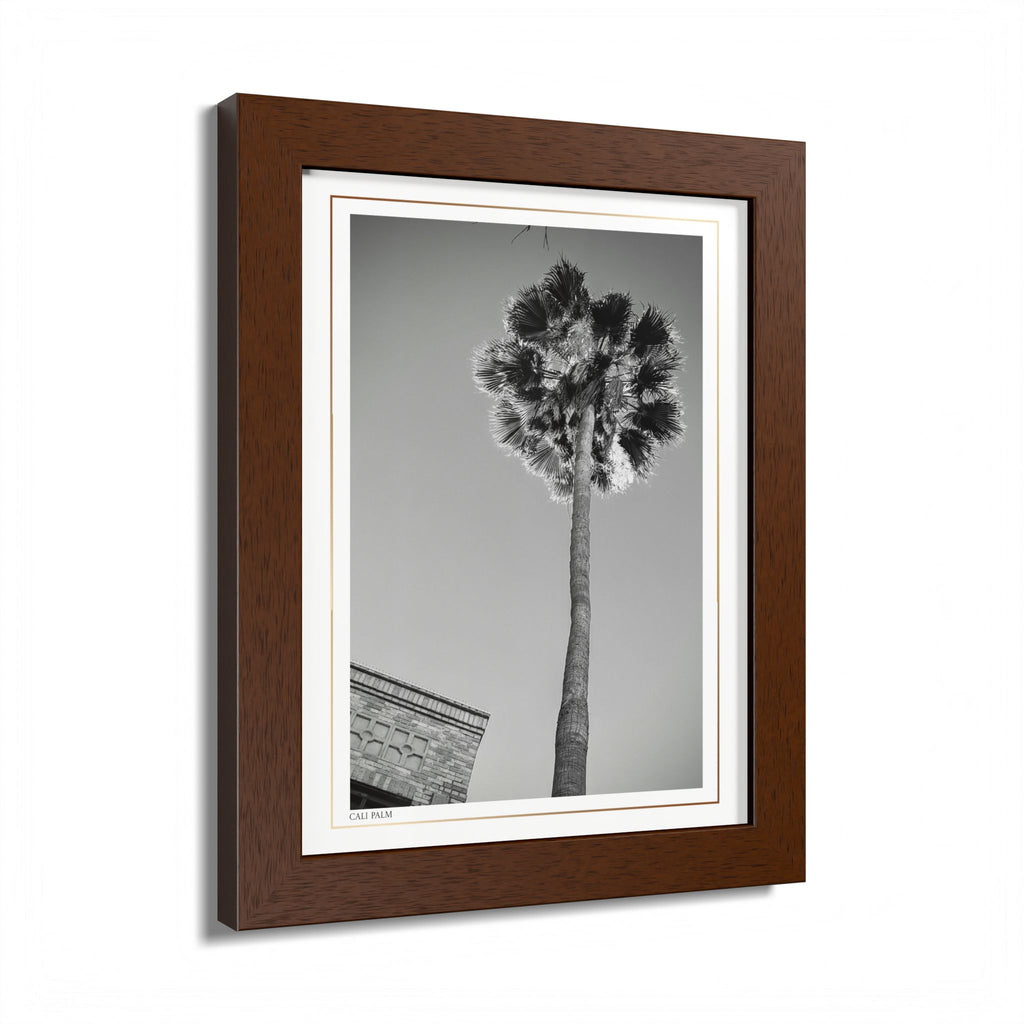 Acqua Carta Original 'Cali Palm' Framed Art, Tropical Decor for Beach Lovers, Home Art