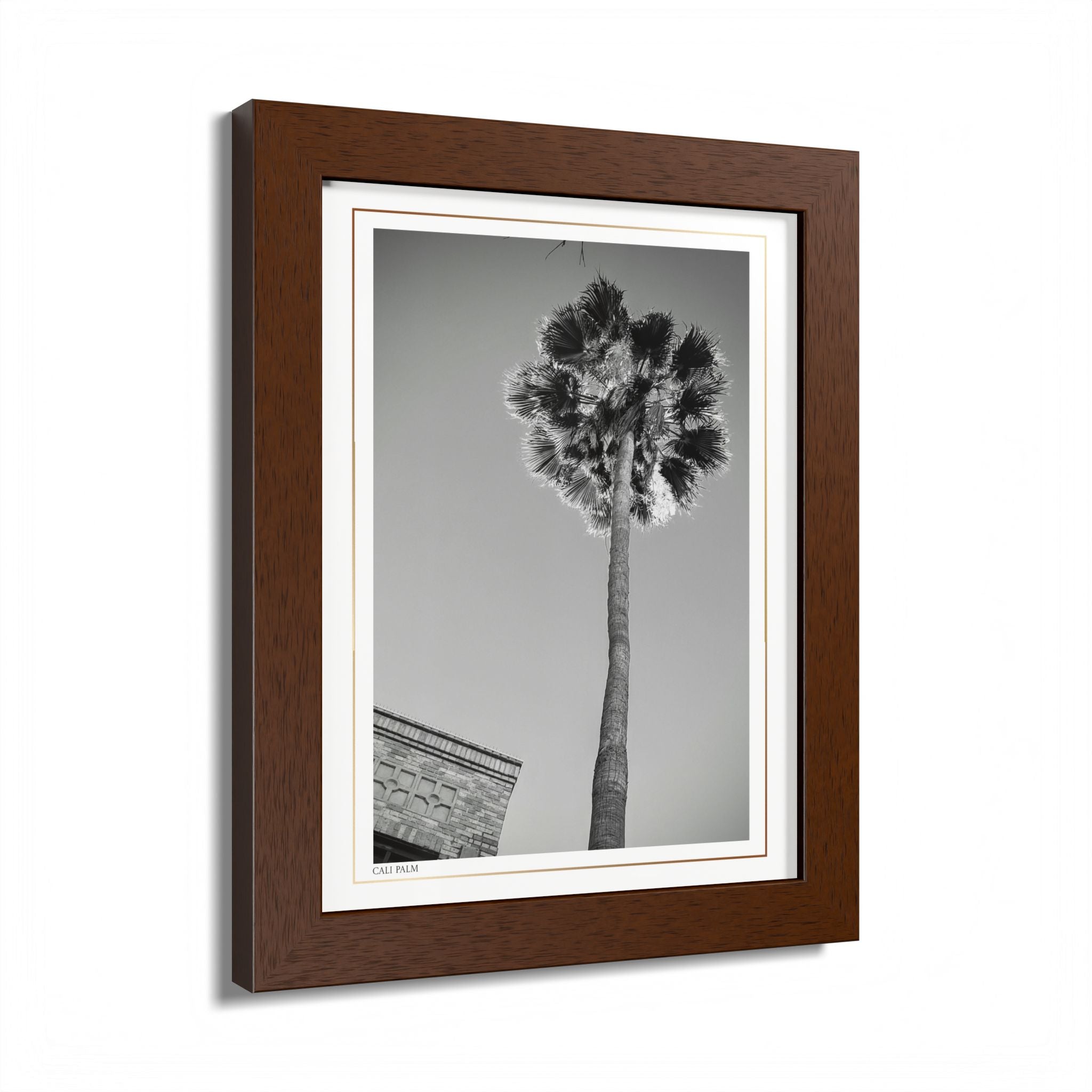 Acqua Carta Original 'Cali Palm' Framed Art, Tropical Decor for Beach Lovers, Home Art