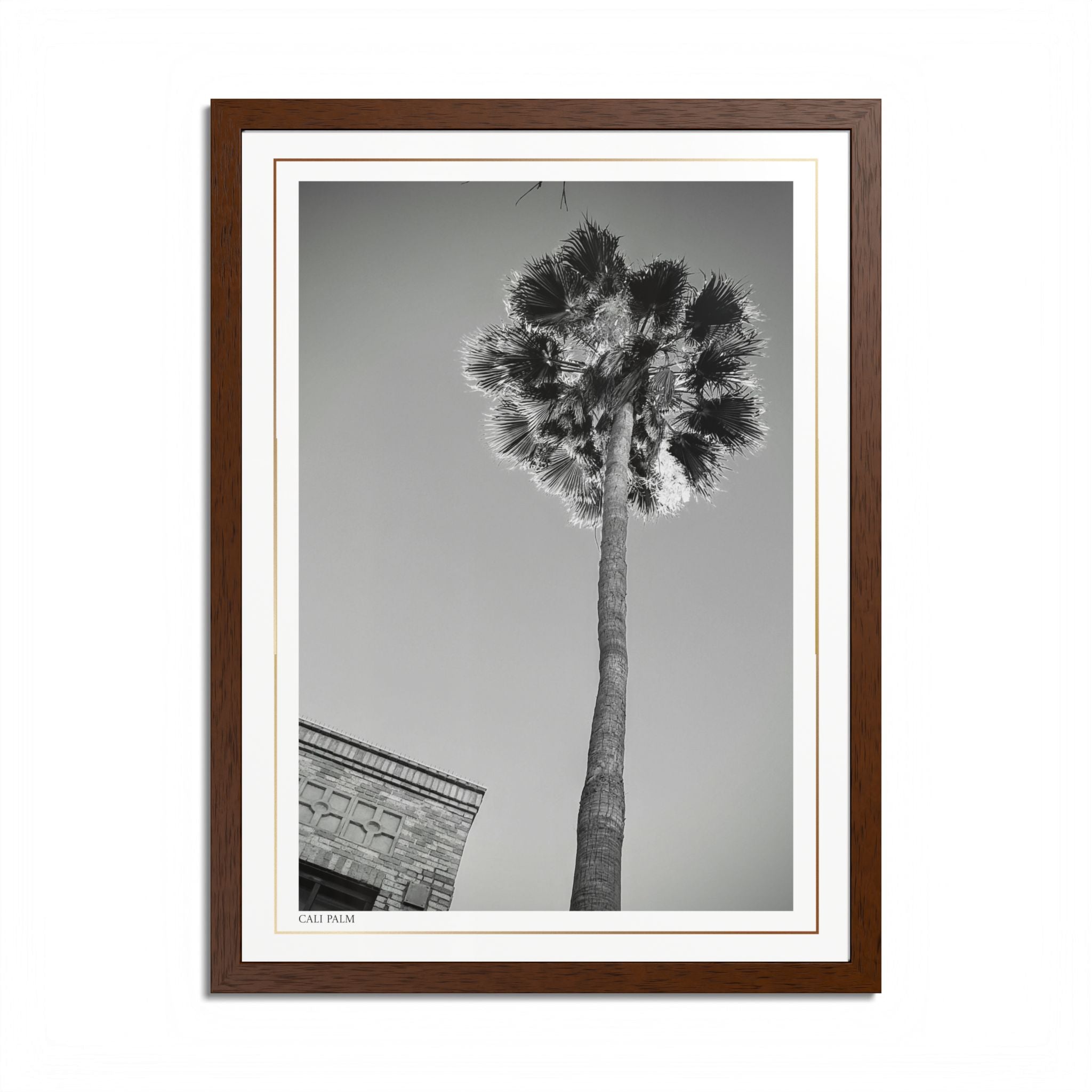 Acqua Carta Original 'Cali Palm' Framed Art, Tropical Decor for Beach Lovers, Home Art