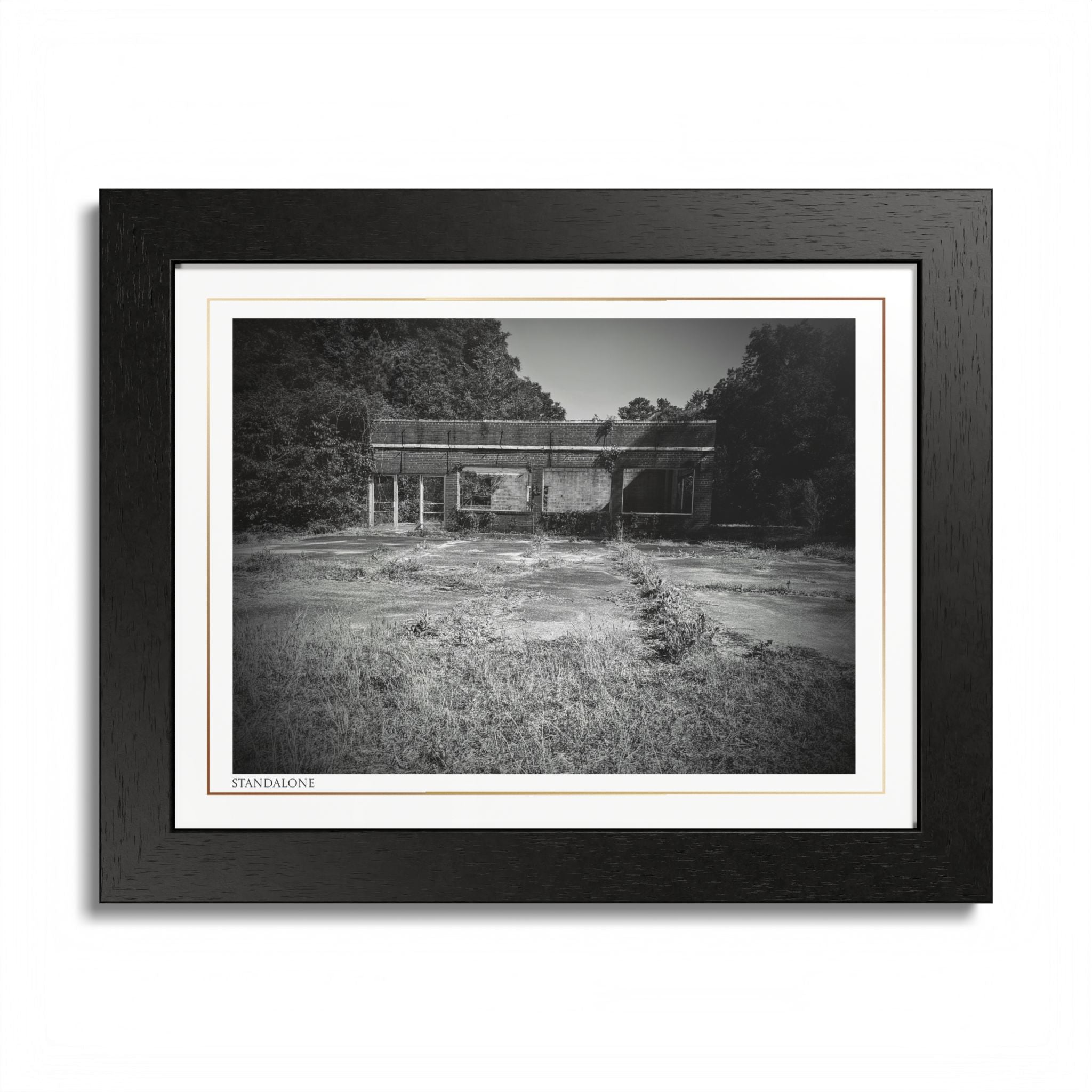 Acqua Carta Original 'Standalone' Framed Art, 'Bando' Art, Home Art