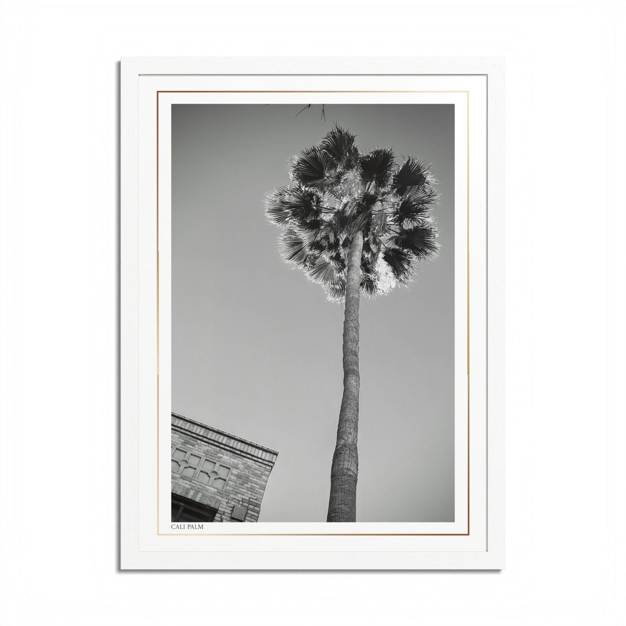 Acqua Carta Original 'Cali Palm' Framed Art, Tropical Decor for Beach Lovers, Home Art