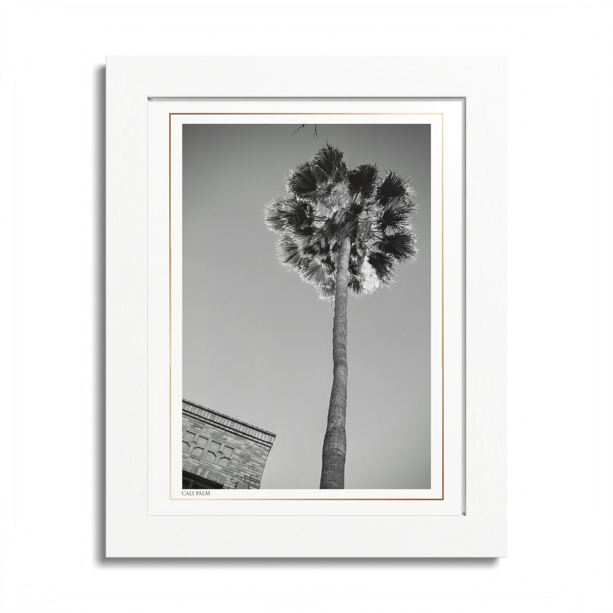 Acqua Carta Original 'Cali Palm' Framed Art, Tropical Decor for Beach Lovers, Home Art