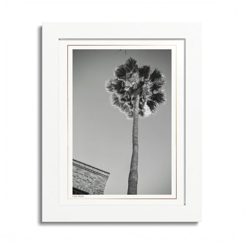 Acqua Carta Original 'Cali Palm' Framed Art, Tropical Decor for Beach Lovers, Home Art