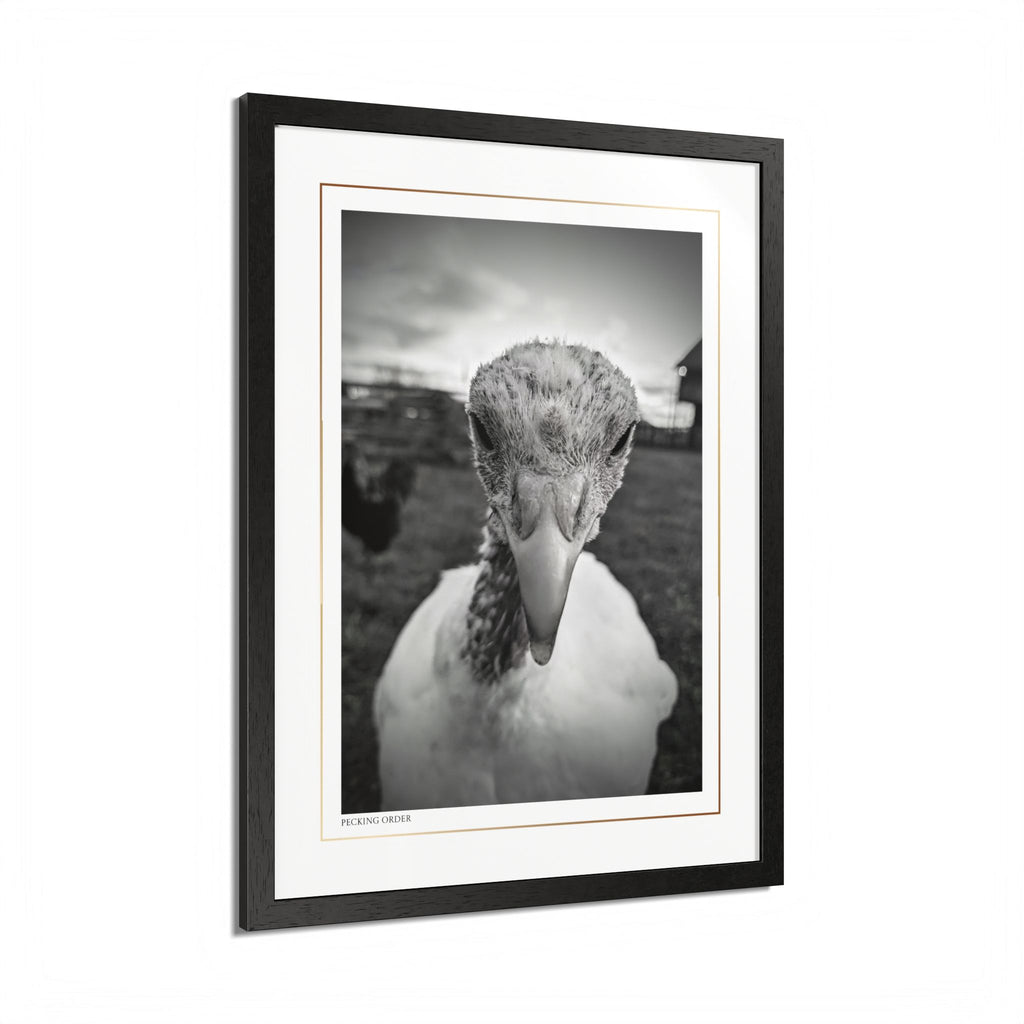 Acqua Carta Original 'Pecking Order' Framed Art, Farm Decor for Animal Lovers, Home Art