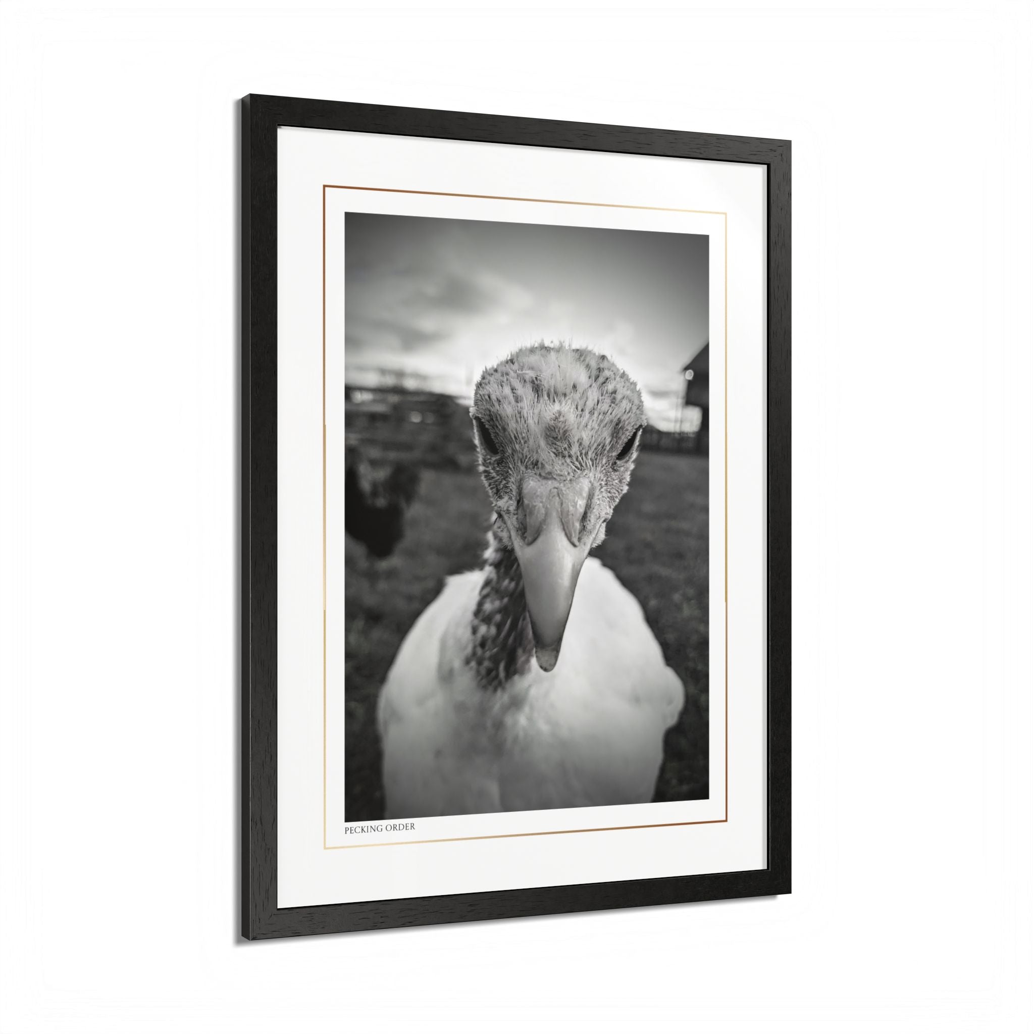 Acqua Carta Original 'Pecking Order' Framed Art, Farm Decor for Animal Lovers, Home Art