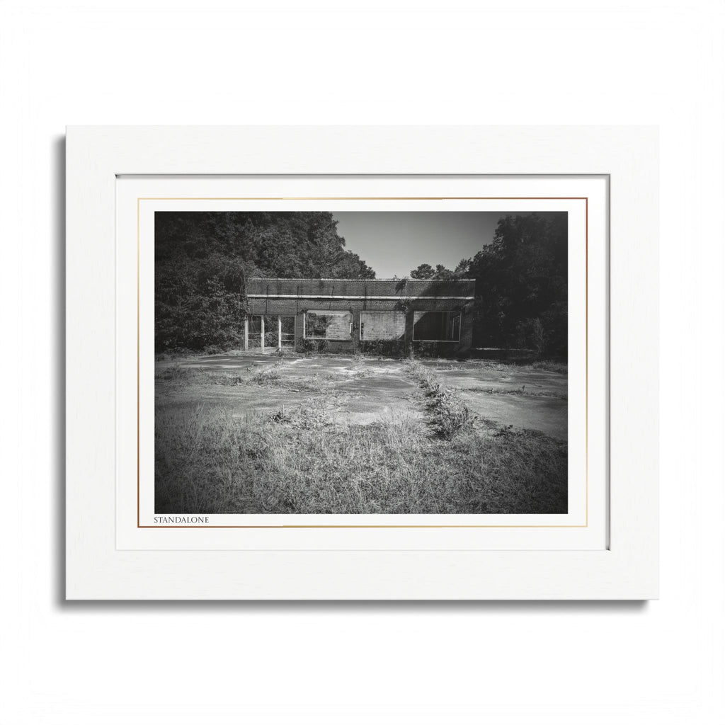 Acqua Carta Original 'Standalone' Framed Art, 'Bando' Art, Home Art