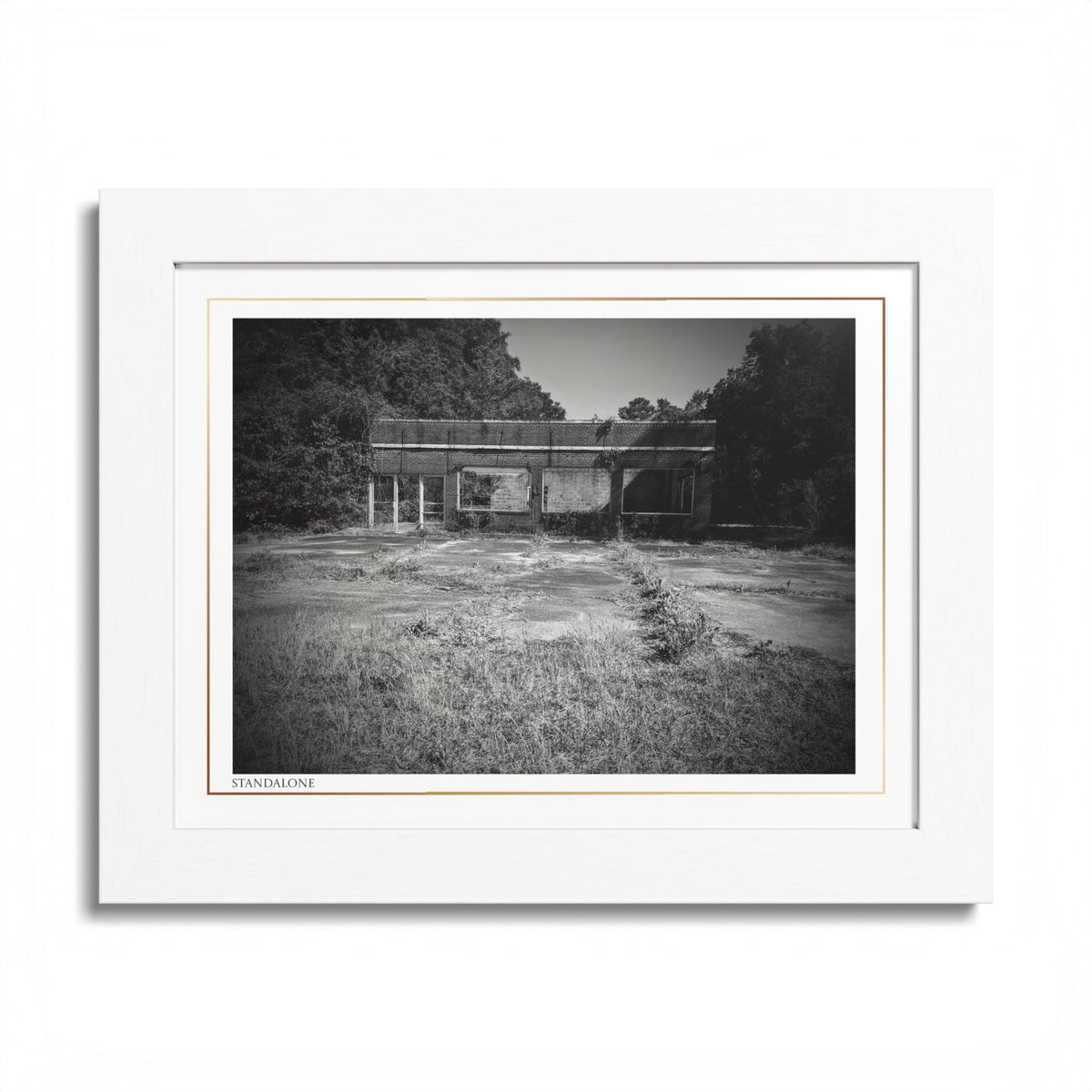 Acqua Carta Original 'Standalone' Framed Art, 'Bando' Art, Home Art
