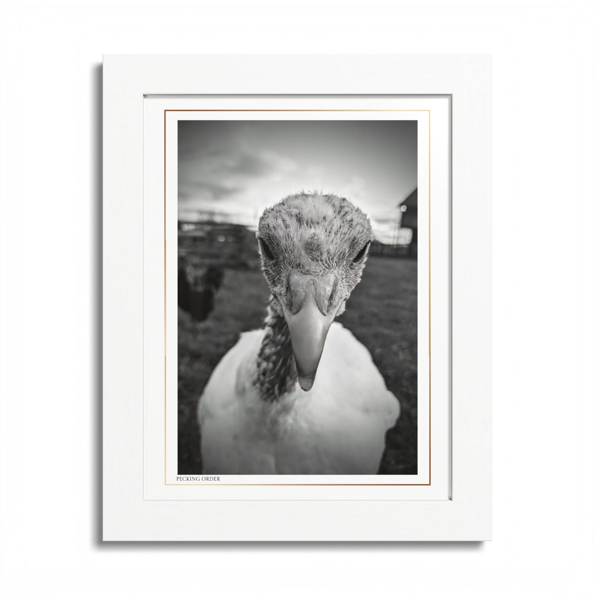 Acqua Carta Original 'Pecking Order' Framed Art, Farm Decor for Animal Lovers, Home Art