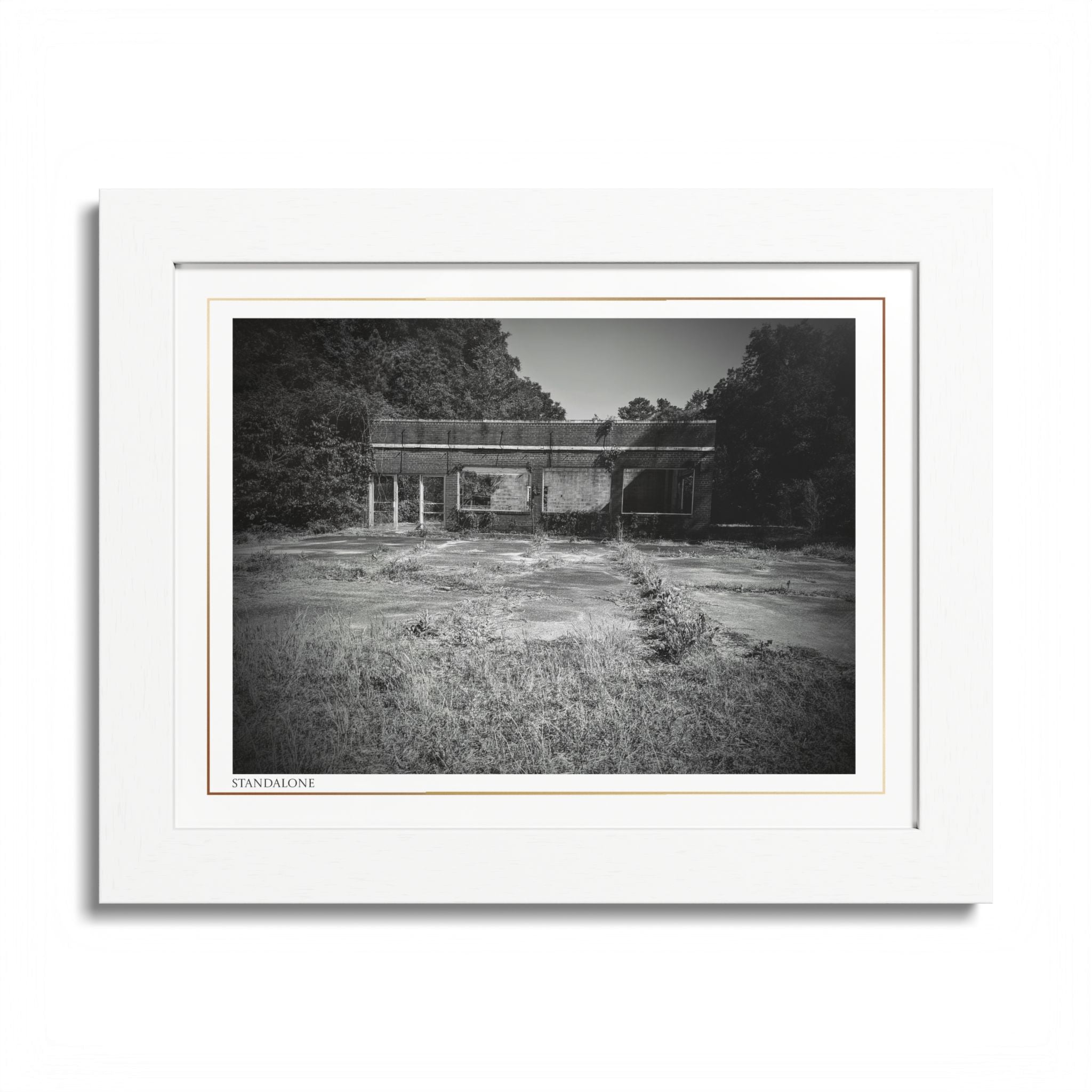 Acqua Carta Original 'Standalone' Framed Art, 'Bando' Art, Home Art