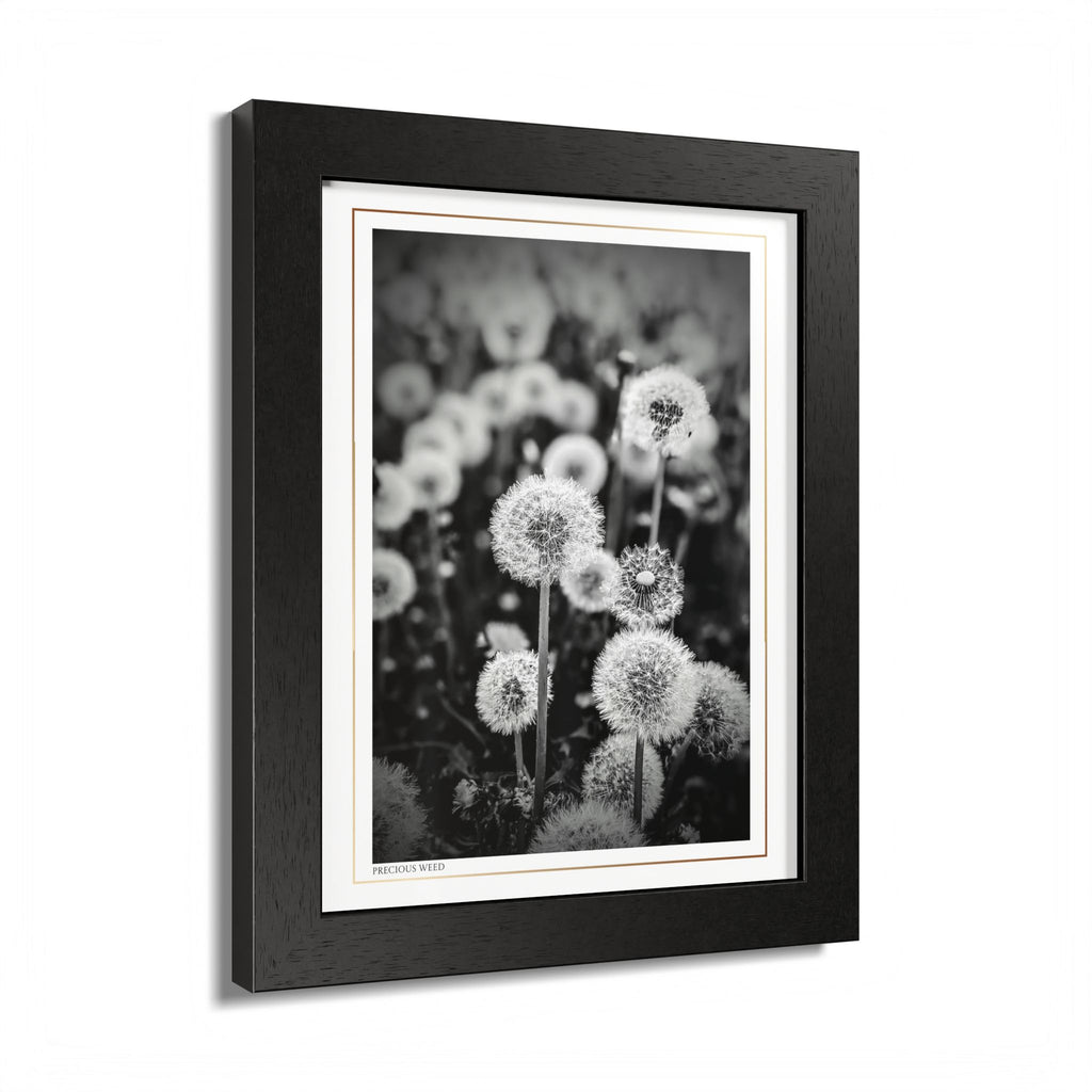 Acqua Carta Original 'Precious Weed' Framed Art, Flower Decor for Nature Lovers, Home Art