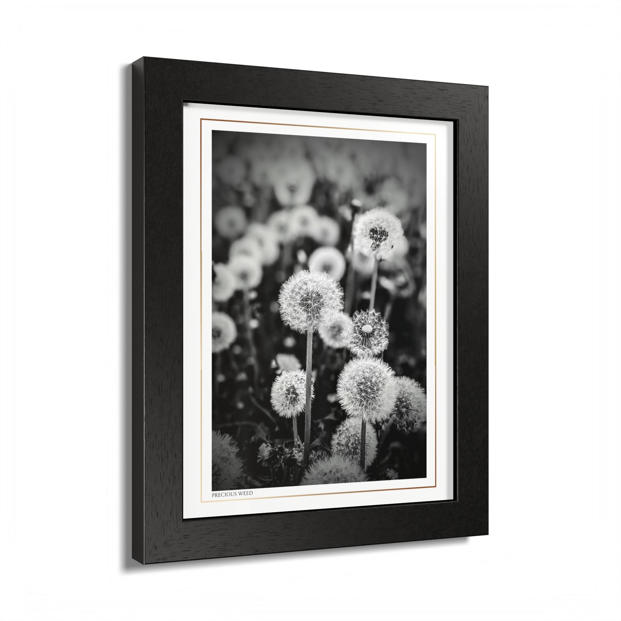 Acqua Carta Original 'Precious Weed' Framed Art, Flower Decor for Nature Lovers, Home Art