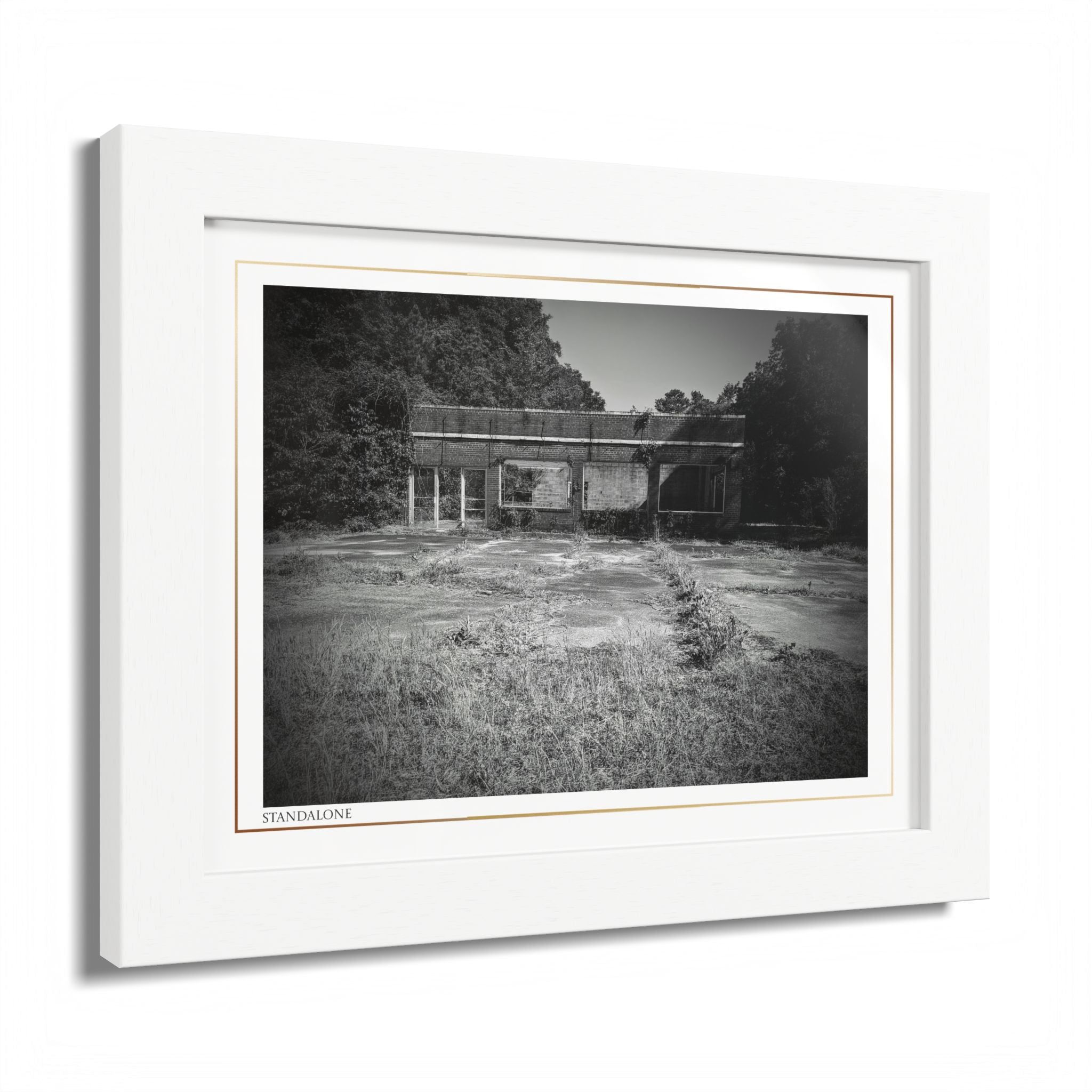 Acqua Carta Original 'Standalone' Framed Art, 'Bando' Art, Home Art