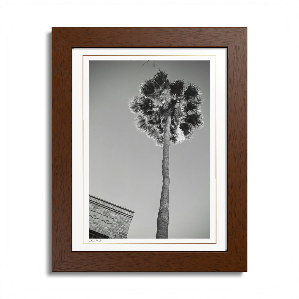 Acqua Carta Original 'Cali Palm' Framed Art, Tropical Decor for Beach Lovers, Home Art