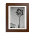 Acqua Carta Original 'Cali Palm' Framed Art, Tropical Decor for Beach Lovers, Home Art