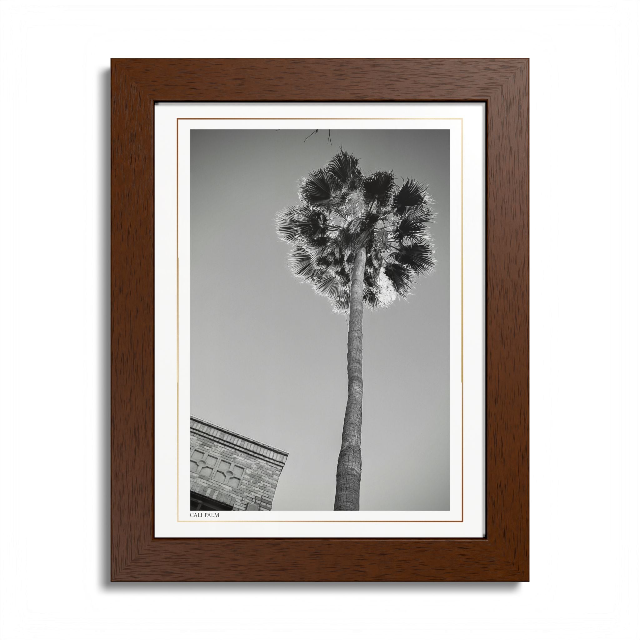 Acqua Carta Original 'Cali Palm' Framed Art, Tropical Decor for Beach Lovers, Home Art