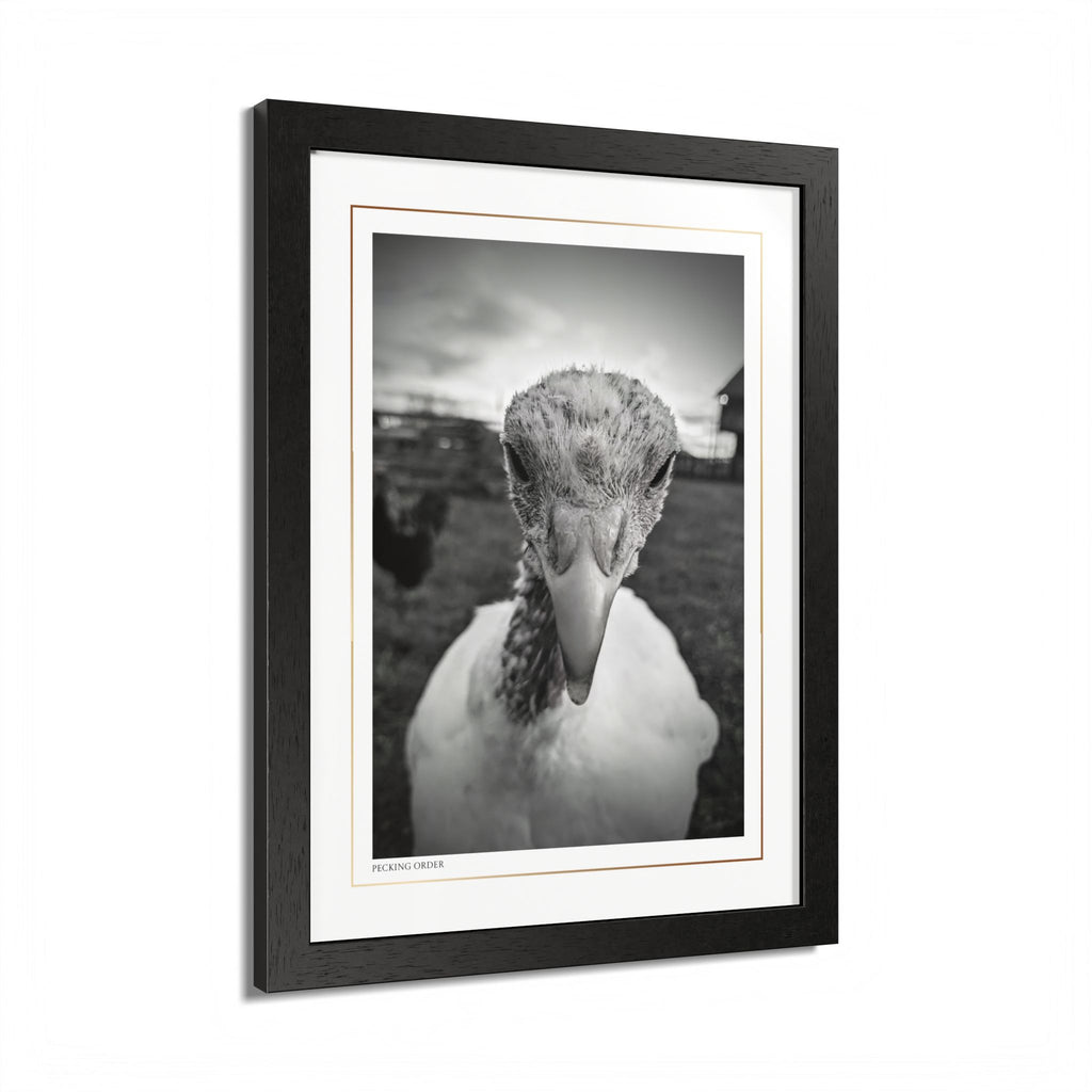 Acqua Carta Original 'Pecking Order' Framed Art, Farm Decor for Animal Lovers, Home Art