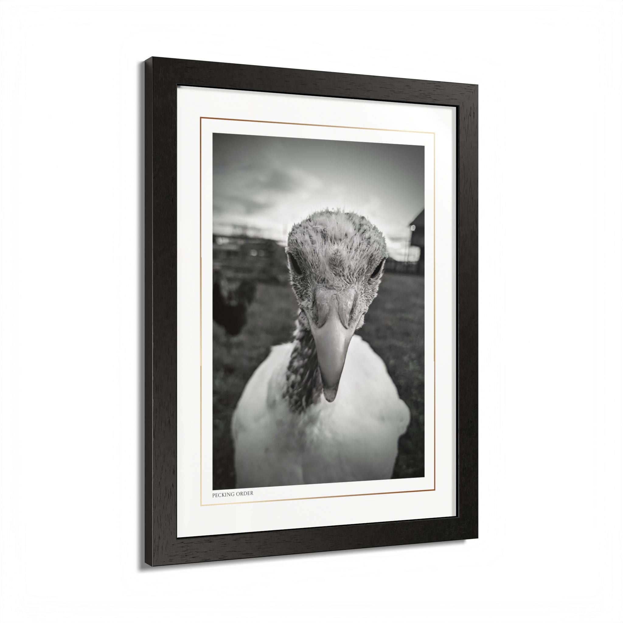 Acqua Carta Original 'Pecking Order' Framed Art, Farm Decor for Animal Lovers, Home Art