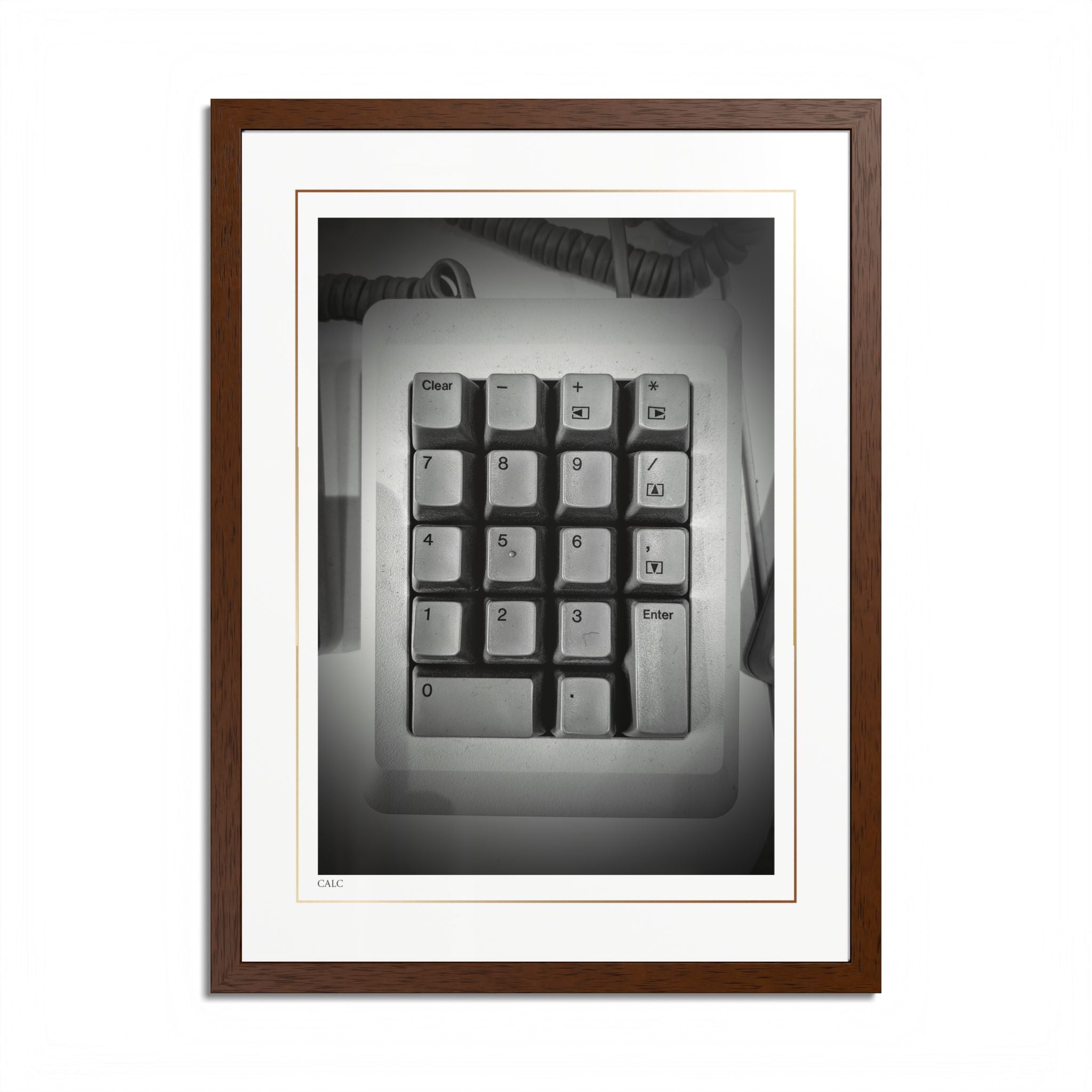 Acqua Carta Original 'Calc' Framed Art, Tropical Decor for Beach Lovers, Home Art
