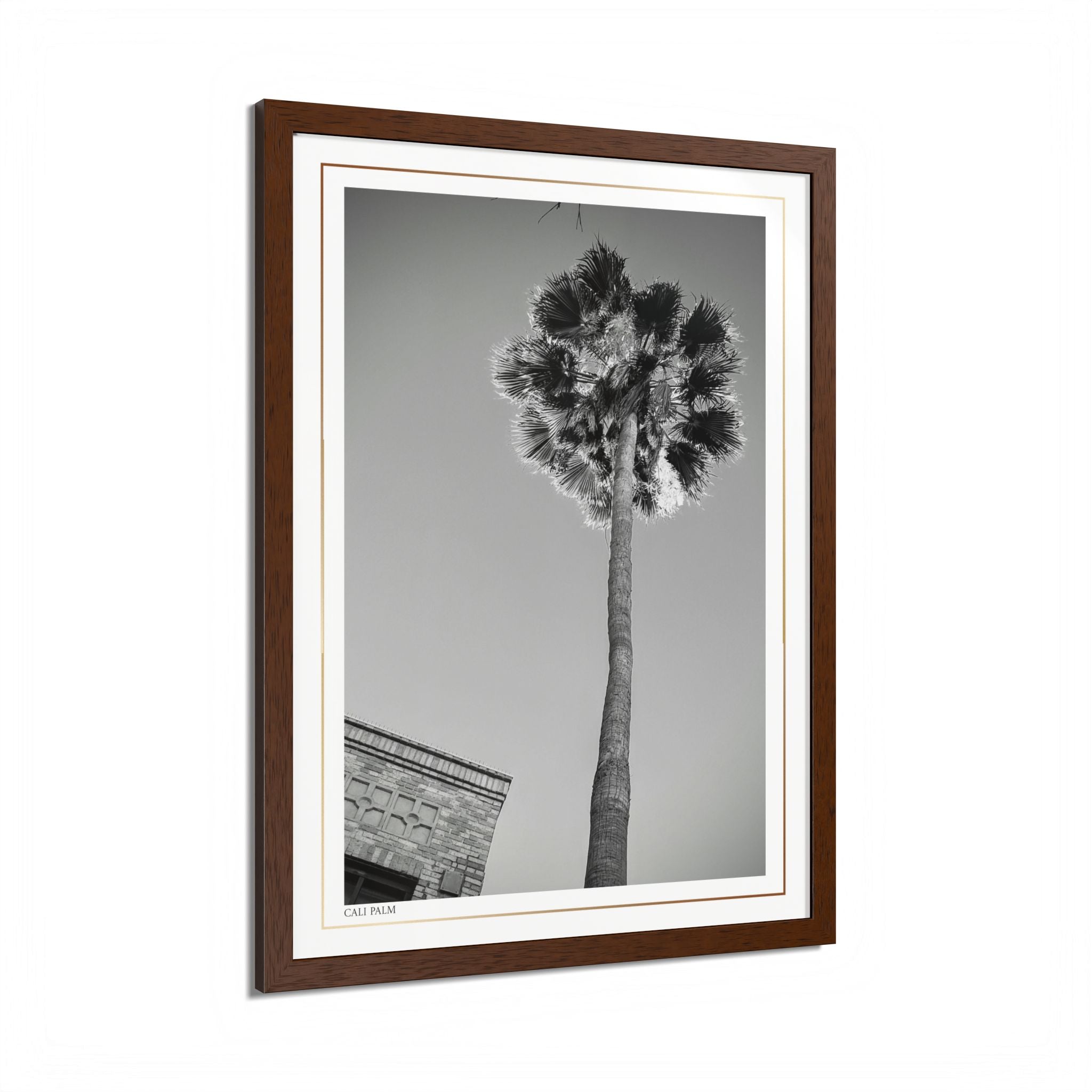 Acqua Carta Original 'Cali Palm' Framed Art, Tropical Decor for Beach Lovers, Home Art