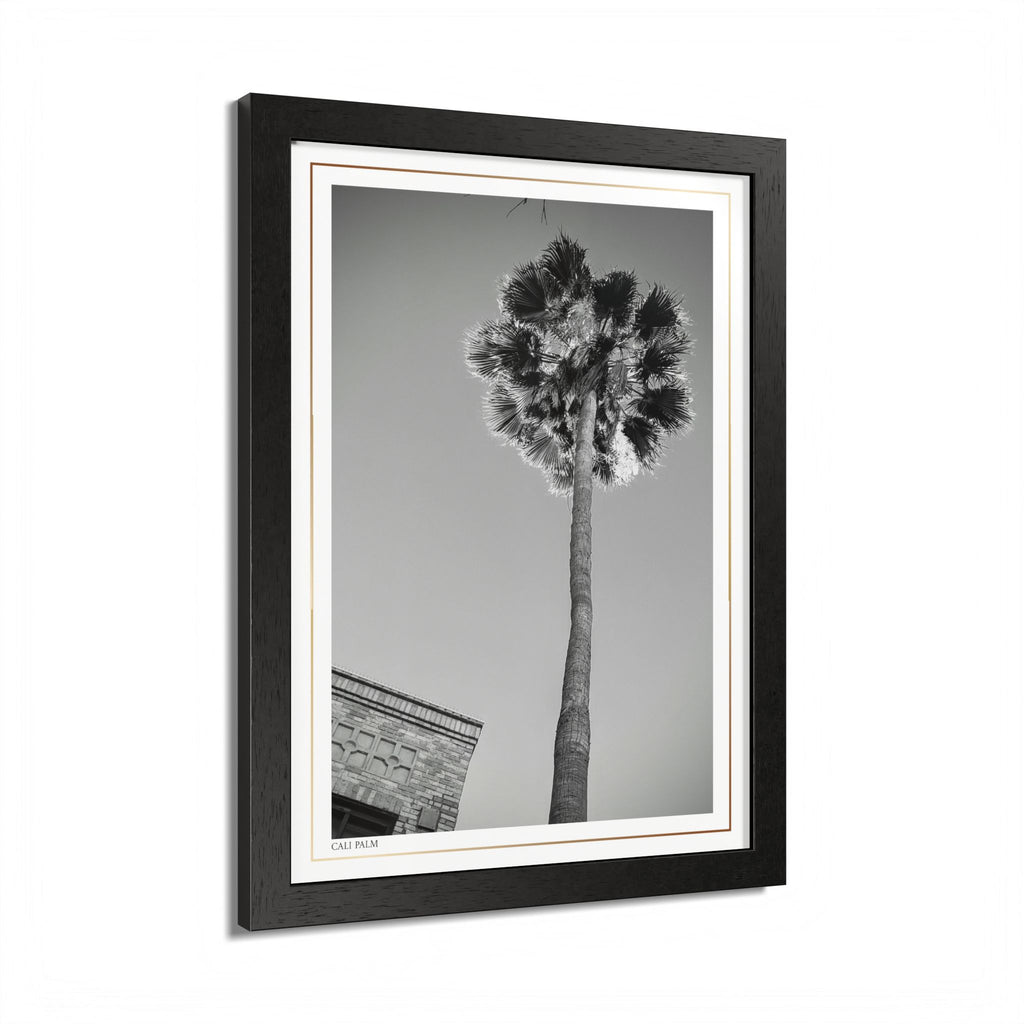 Acqua Carta Original 'Cali Palm' Framed Art, Tropical Decor for Beach Lovers, Home Art