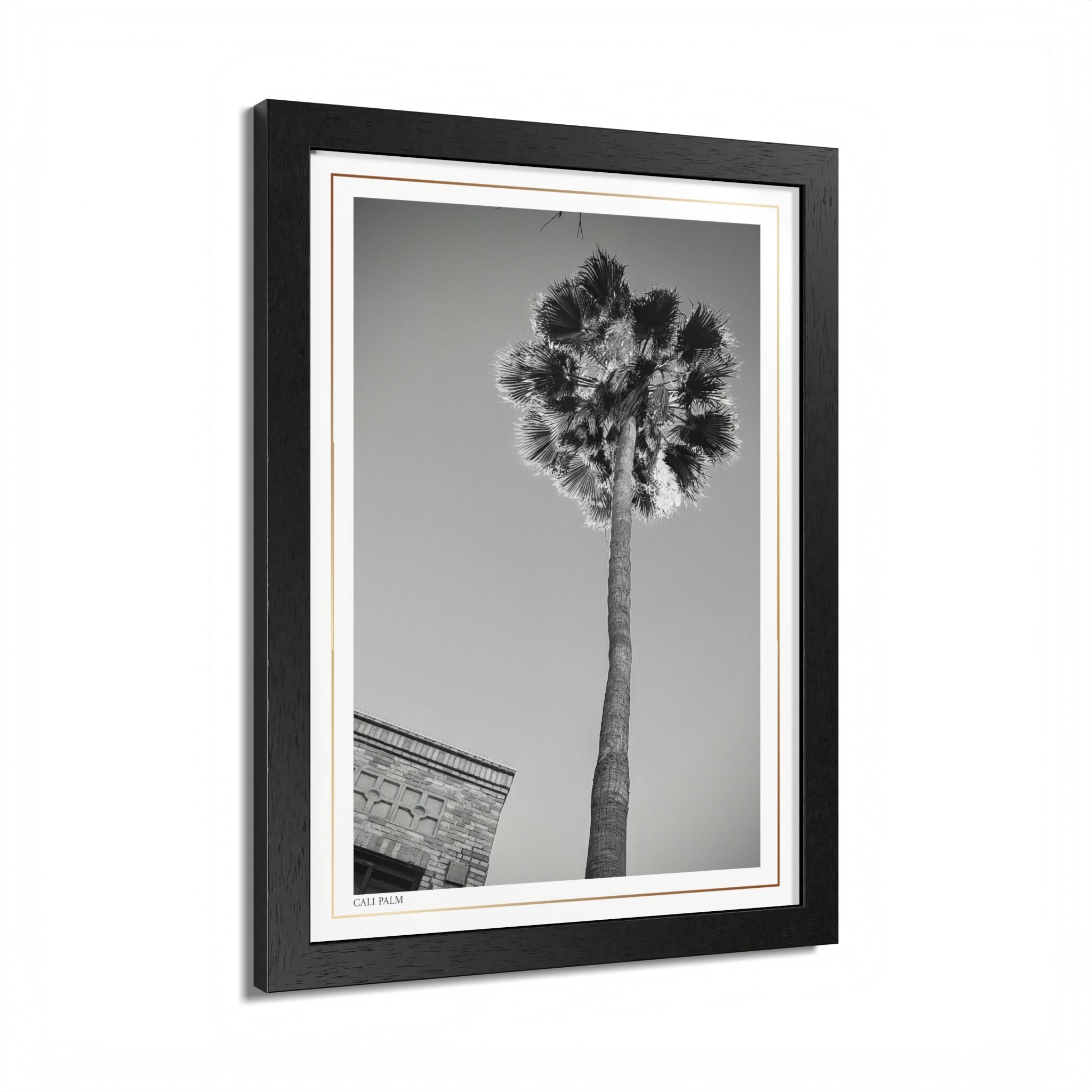 Acqua Carta Original 'Cali Palm' Framed Art, Tropical Decor for Beach Lovers, Home Art