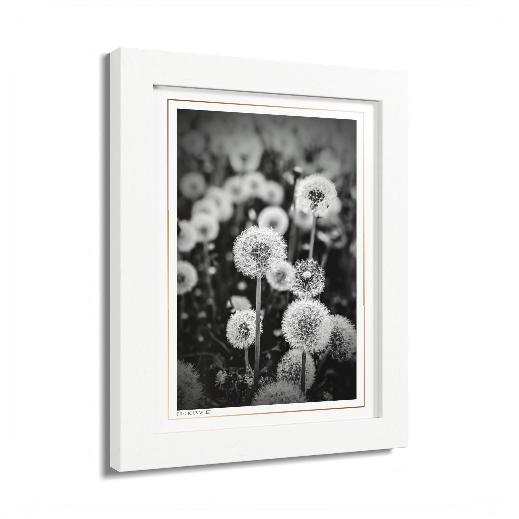 Acqua Carta Original 'Precious Weed' Framed Art, Flower Decor for Nature Lovers, Home Art