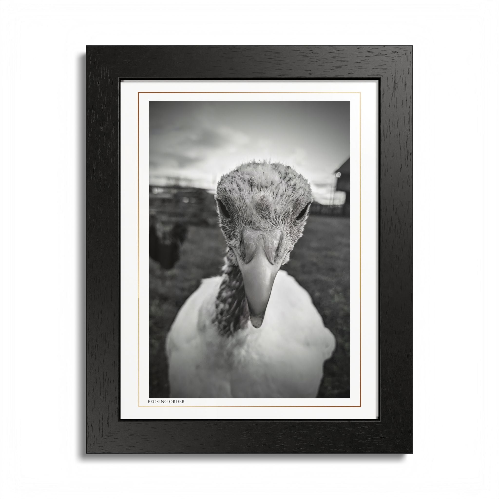 Acqua Carta Original 'Pecking Order' Framed Art, Farm Decor for Animal Lovers, Home Art