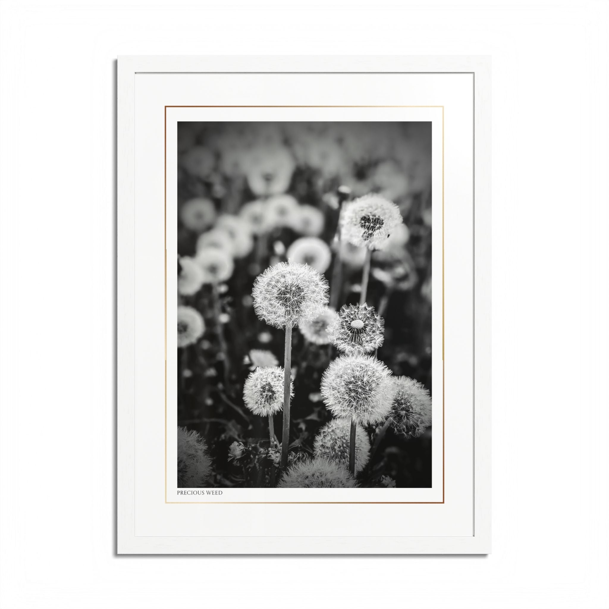 Acqua Carta Original 'Precious Weed' Framed Art, Flower Decor for Nature Lovers, Home Art